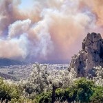 Φωτιά Βοιωτία