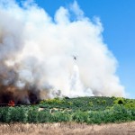 Φωτιά στην Εύβοια