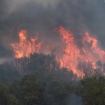 Φωτιά Αλεξανδρούπολη: Εκκενώσεις 9 Οικισμών - Μήνυμα 112