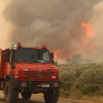 Φωτιά Αλεξανδρούπολη: Κάηκαν Μετανάστες Στο Δάσος Δαδιάς