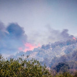 Φωτιά Βοιωτία: Εκτός Ελέγχου Η Πυρκαγιά - Νέες Εκκενώσεις