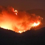 Φωτιά Φυλή: Ανεξέλεγκτο Το Πύρινο Μέτωπο Στην Πάρνηθα