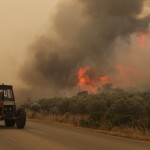 Φωτιά Αλεξανδρούπολη: Προς τη Ροδόπη κατευθύνεται το πύρινο μέτωπο