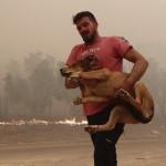 Φωτιά Πάρνηθα: Ο Νεαρός Που Σώζει Ζώα Από Τις Φλόγες