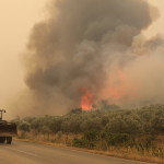 Φωτιά Έβρος: Νέες Εκκενώσεις Την 11η Ημέρα Της Πυρκαγιάς