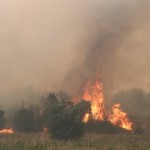 Φωτιά Έβρος: 12η Ημέρα Πυρκαγιάς - Νέες Εκκενώσεις
