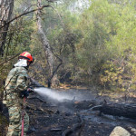 Φωτιά Έβρος: Καίει Για 14η ημέρα - Στο Σουφλί Οι Φλόγες