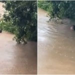 Σκιάθος: O δήμαρχος βούτηξε στα λασπόνερα να σώσει την αδελφή του