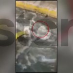 Blue Horizon: Νέο Ηχητικό Ντοκουμέντο - Μπλέξαμε, Μπλέξαμε