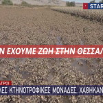 Θεσσαλία καταστροφή