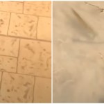 Πλημμύρες: Ψάρια κολυμπούν στα... πεζοδρόμια της Λάρισας - Δείτε βίντεο