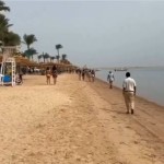 Επίθεση Καρχαρία Στην Αίγυπτο - Τουρίστρια Έχασε Το Χέρι Της