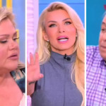 Ανδρέας Μικρούτσικος σε Χρύσλα Γεωργακοπούλου: «Είσαι αγενέστατη!»