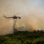 Φωτιά Τώρα Σε Δασική Έκταση Στη Δράμα