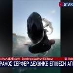 Φάλαινα Φυσητήρας Έπεσε Πάνω Σε Σέρφερ Στην Αυστραλία