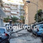 πτώση δέντρου στη Θεσσαλονίκη