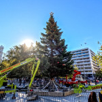 Σύνταγμα: Φωταγωγείται Σήμερα Το Χριστουγεννιάτικο Δέντρο