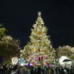 Χριστούγεννα 2023: Φωταγώγηση Δέντρου Στο Σύνταγμα