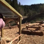 Φάρμα: Ποια ομάδα κέρδισε στην τελευταία δοκιμασία Ασυλίας πριν την 10άδα!