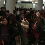 Κακοκαιρία: Εγκλωβισμένοι Έλληνες Στο Αεροδρόμιο Του Μόναχου