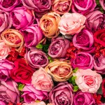 Εορτολόγιο