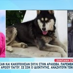 Αράχωβα: Ανάστατοι Οι Κάτοικοι Από Την Κακοποίηση Του Σκύλου