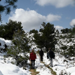 Καιρός: Ψυχρή Εισβολή Φέρνει Χιόνια Το Σαββατοκύριακο