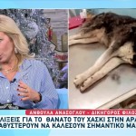 Αράχωβα: Νέος Μάρτυρας Κλειδί Για Τον Όλιβερ