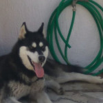 Αράχωβα: Ξέρουμε Ποιος Κακοποίησε Τον Όλιβερ, Θα Εκπλαγείτε