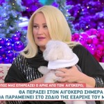 Άση Μπήλιου 04/01/24: Οι προβλέψεις για όλα τα ζώδια