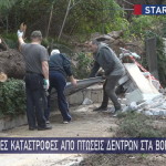 Φιλοθέη πτώση δέντρου