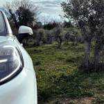H Ford κατασκευάζει εξαρτήματα οχημάτων από ελαιόδεντρα