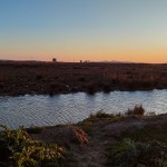 Μεσολόγγι: Η Περιοχή Όπου Βρέθηκε Ο 31χρονος Μπάμπης