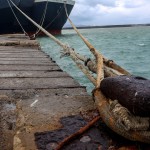 Δεμένα τα πλοία σε πολλά λιμάνια λόγω της κακοκαιρίας Avgi