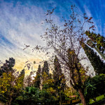 Καιρός: Ήρθαν Οι Αλκυονίδες