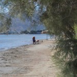 Λαμία: Πέθανε 27χρονος Ενώ Έκανε Μπάνιο Στα Ιαματικά Νερά