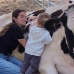 Εριέττα Κούρκουλου