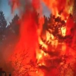 Φωτιές: Το Νέο Σχέδιο Για Την Αντιμετώπισή Τους