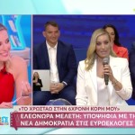 Μελέτη: Γιατί είπε το «ναι» στην πρόταση Μητσοτάκη για τις Ευρωεκλογές