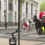 Λονδίνο: Άλογα Κάλπαζαν Ελεύθερα Στο Κέντρο Της Πόλης