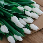 Εορτολόγιο