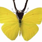 Έκθεση Hybrids: 8 έργα-πρότζεκτ