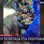 Βραυρώνα