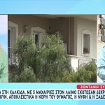 Δολοφονία 63χρονης Χαλκίδα: Δέχτηκε έξι μαχαιριές με μένος στον αυχένα