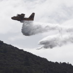 Λακωνία: Φωτιά Σε Δασική Έκταση