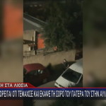 Λιόσια video