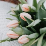 Εορτολόγιο