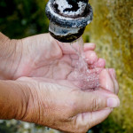 Γαστρεντερίτιδα: Μια Νεκρή Με Συμπτώματα Στη Μαγνησία