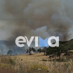 Φωτιά Στην Εύβοια