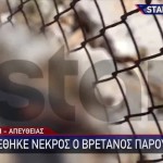 Σύμη: Τα Πρώτα Λόγια Της Συζύγου Του Μάικλ Μόσλεϊ